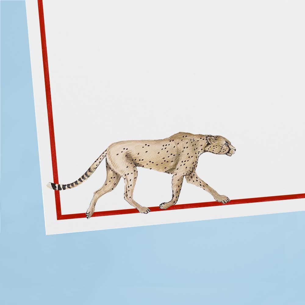 Cards & Envelopes The Cheating Cheetah
