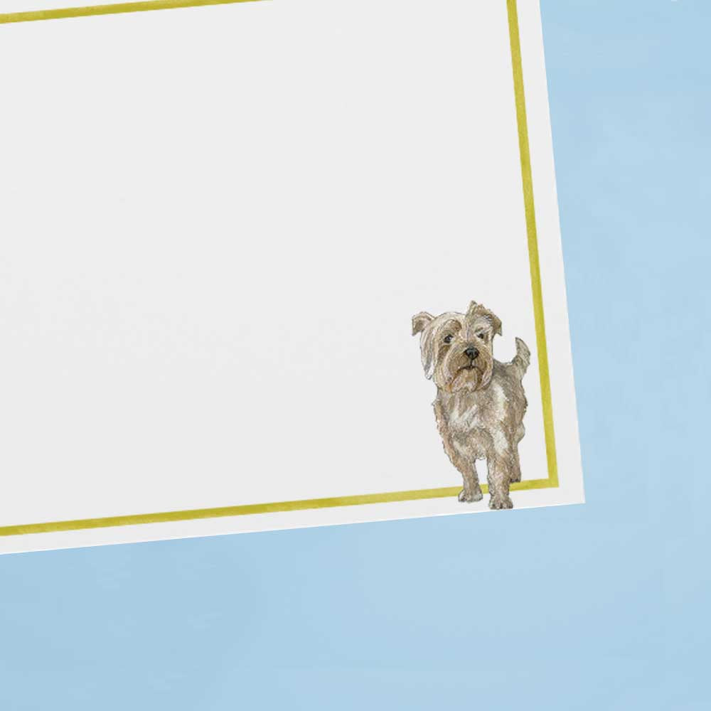 Cards & Envelopes Terrier