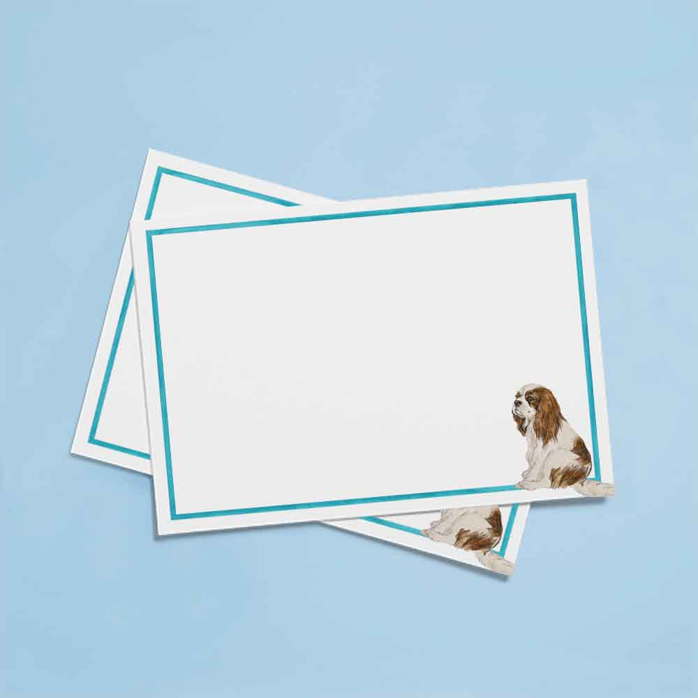 Cards & Envelopes Prince Charles