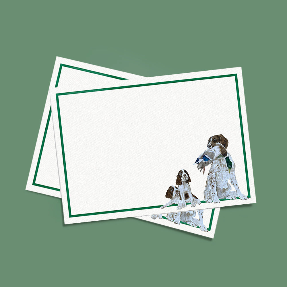 Cards & Envelopes Duck, Duck, Springer